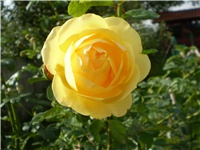 4d273527-Picture 3486.jpg